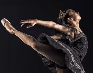 Central Illinois Ballet - For the Love of Dance